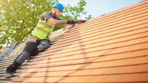 Roof Moss and Algae Removal in Palmview, TX