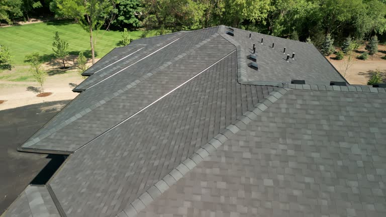 Best Gutter Installation and Repair  in Palmview, TX