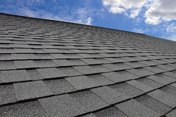  Palmview, TX Roofing Service Pros