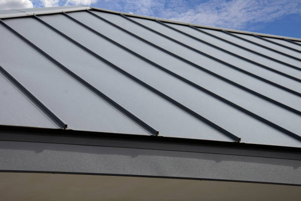 Best Cold Roofs  in Palmview, TX